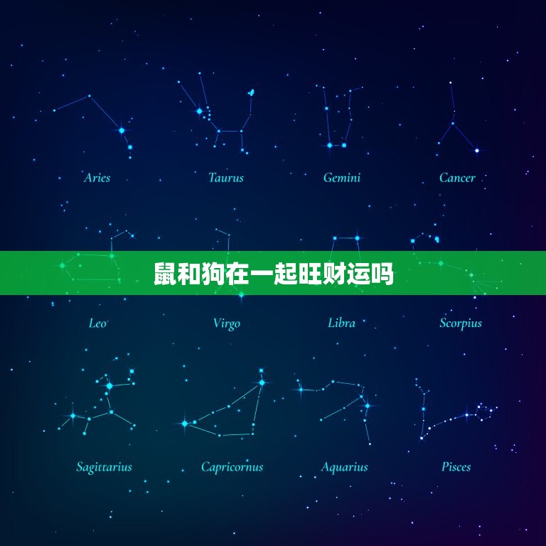 鼠和狗在一起旺财运吗(介绍生肖属相的财运奥秘)  第3张