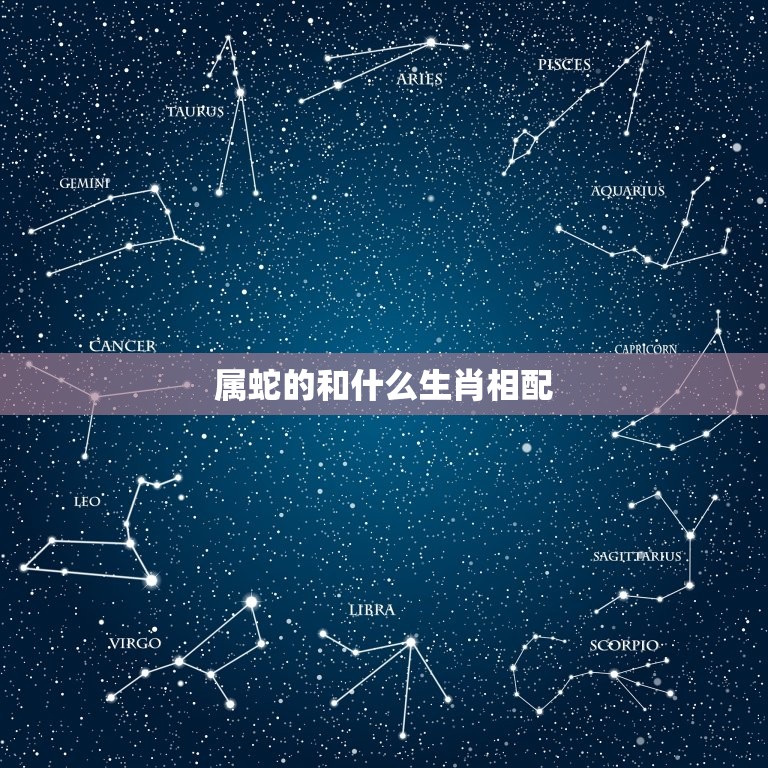 属蛇的和什么生肖相配(十二生肖中配对)  第3张