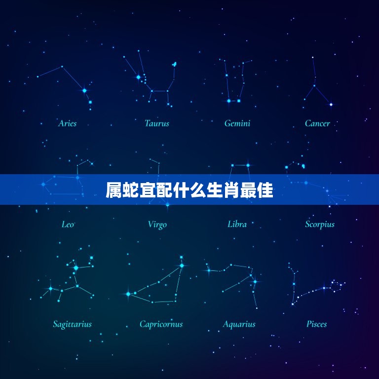 属蛇宜配什么生肖(搭档大介绍)  第3张