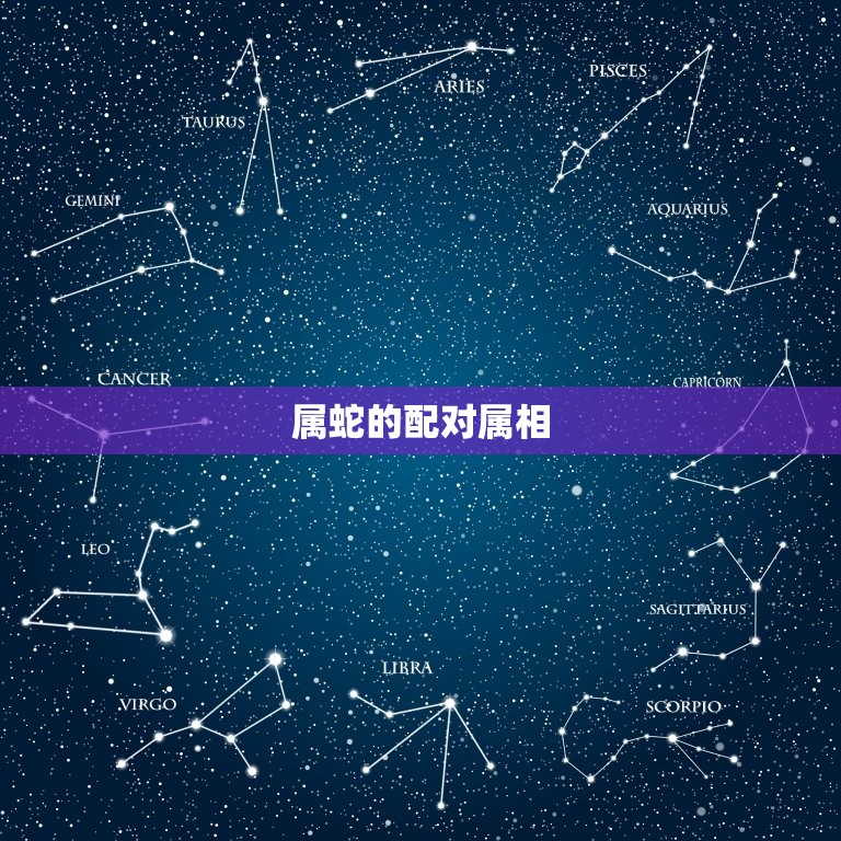 属蛇的生肖最配的属相(介绍配对)  第2张