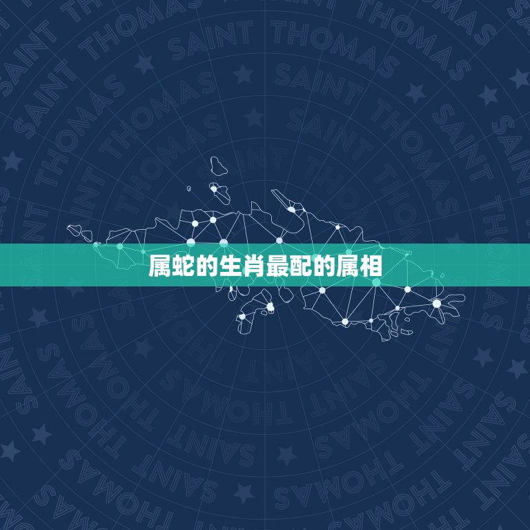 属蛇的生肖最配的属相(介绍配对)  第3张