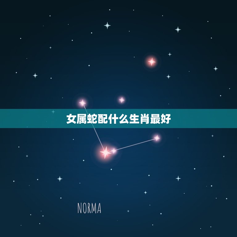 女属蛇配什么生肖(如何选择配偶)  第3张