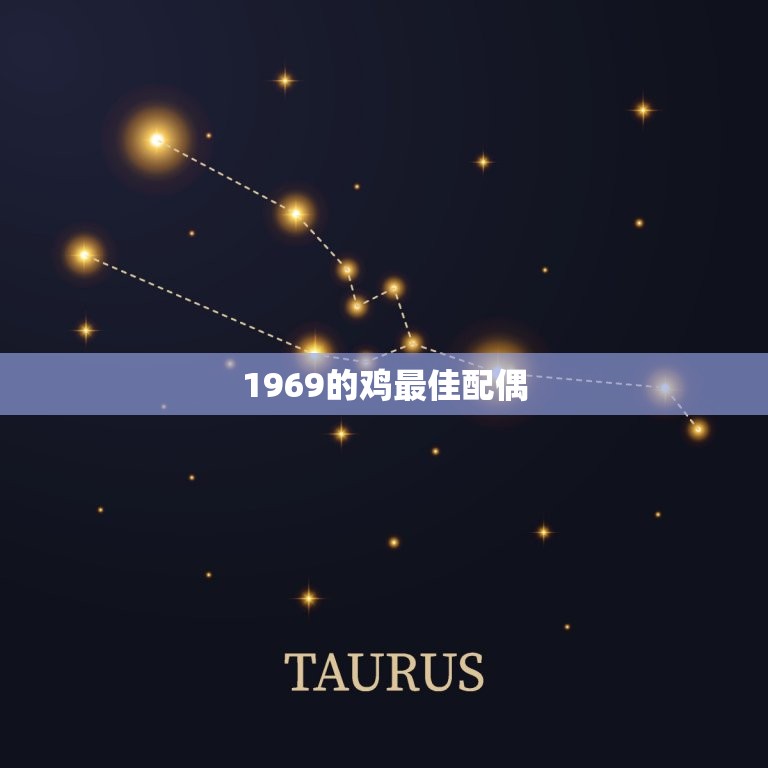 1969的鸡配偶(如何选择)  第3张
