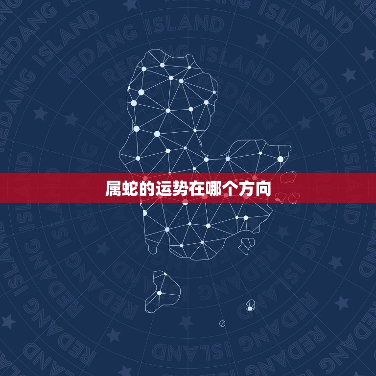 属蛇的运势在哪个方向(如何选择适合自己的方向)  第3张