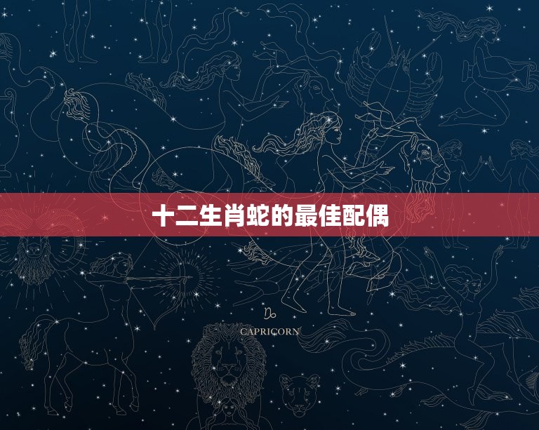 十二生肖蛇的配偶(如何选择最适合的伴侣)  第3张