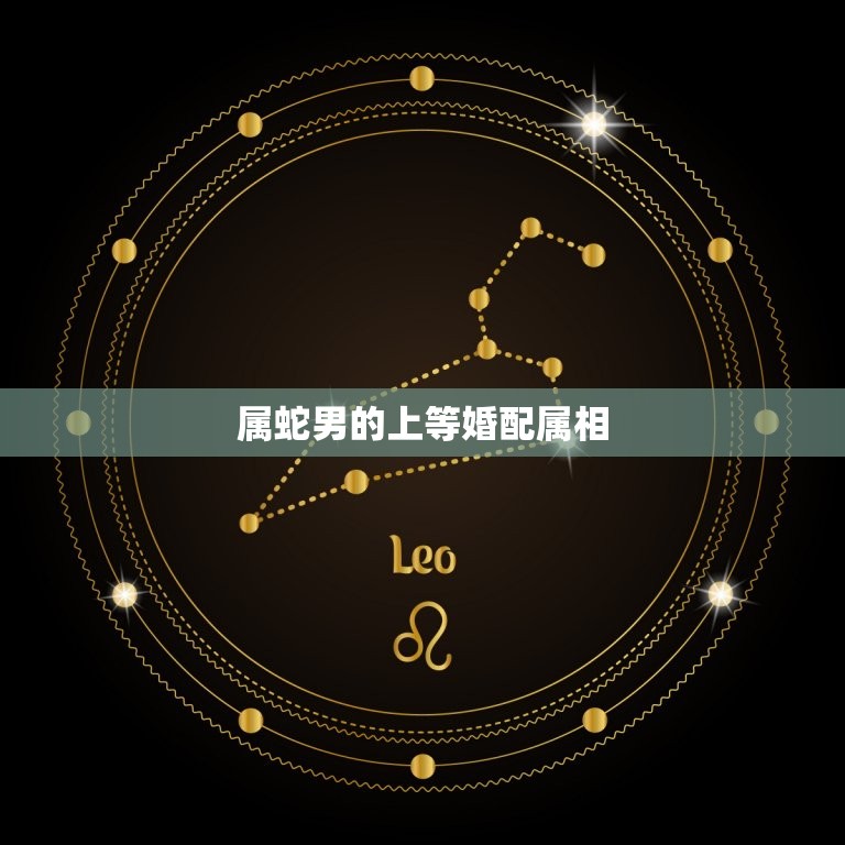 属蛇男的上等婚配属相(婚配星座大介绍)  第3张