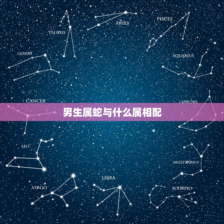 男生属蛇与什么属相配(配对大介绍)  第3张