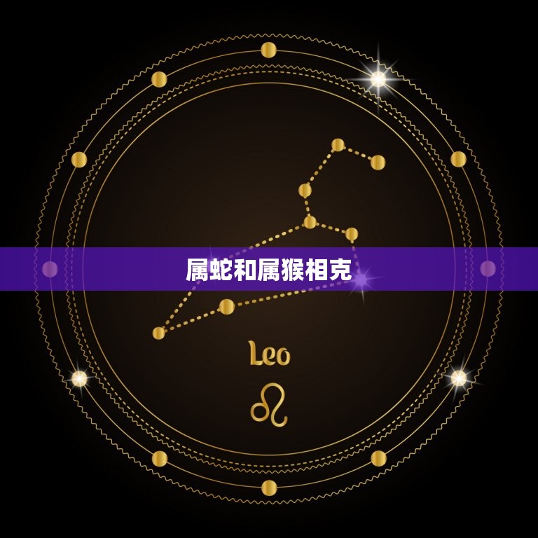 属蛇和那几个属相相克(如何避免冲突)