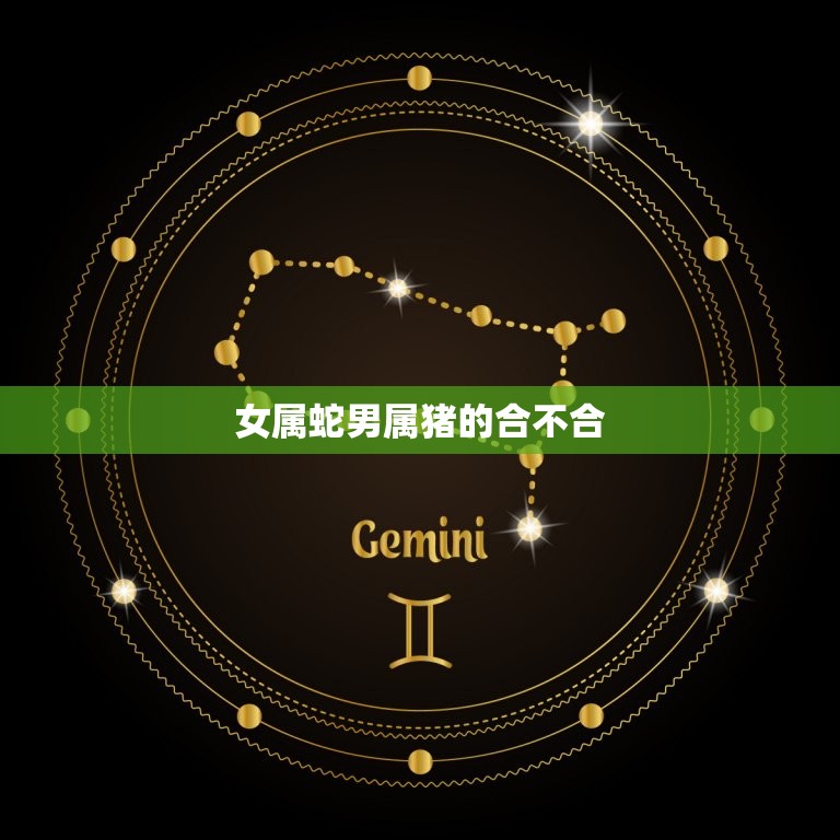 女属蛇男属猪的合不合(如何介绍这对星座组合)  第3张