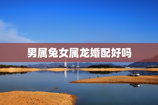 男属兔女属龙婚配好吗(介绍兔龙配缘分天定)  第3张