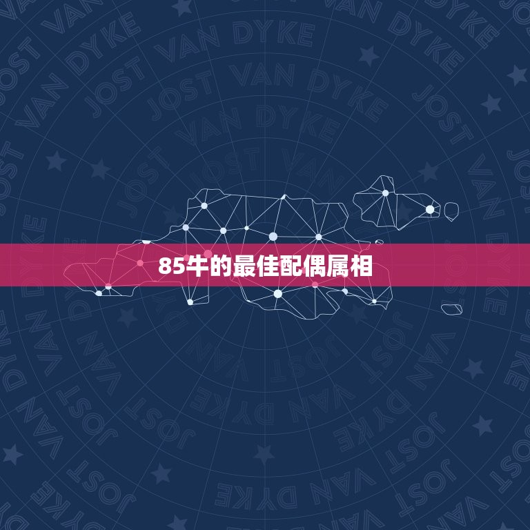 85牛的配偶属相(寻找的伴侣)  第3张
