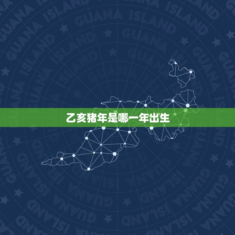 乙亥猪年是哪一年出生(解密猪年生肖运势大介绍)  第3张