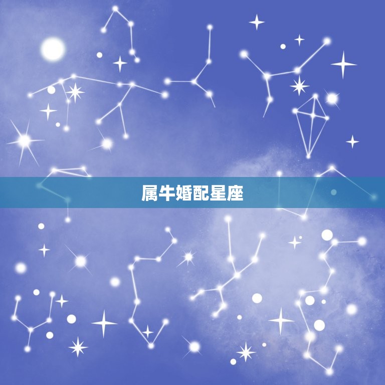 属牛的婚配有哪些(寻找伴侣)  第2张