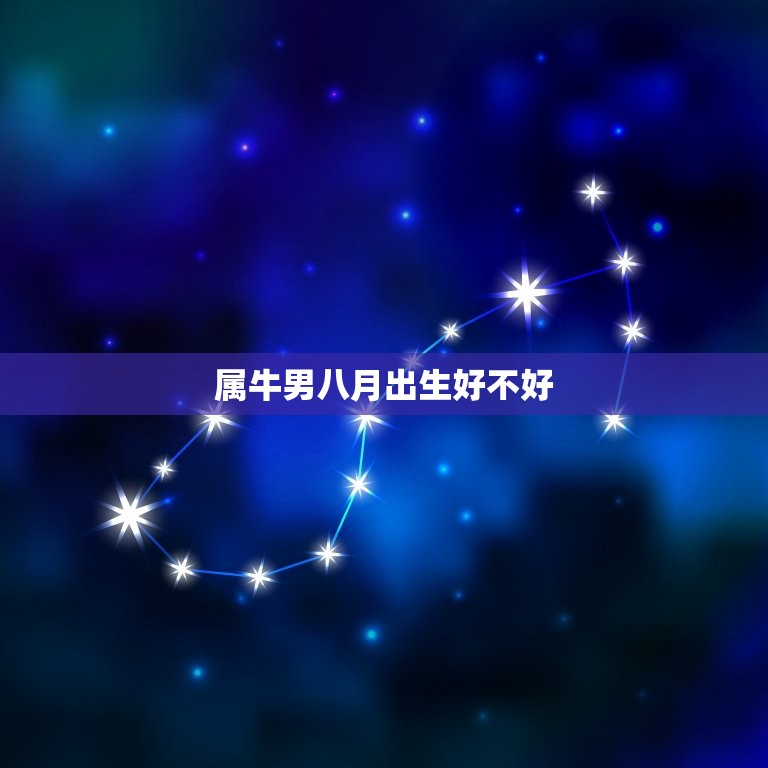属牛男八月出生好不好(八月生肖牛男的性格特点与命运介绍)  第3张