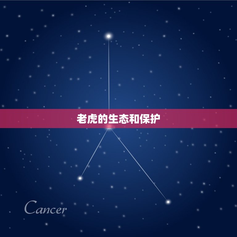 60年的虎今年多大了(已经是老虎的晚年岁月)