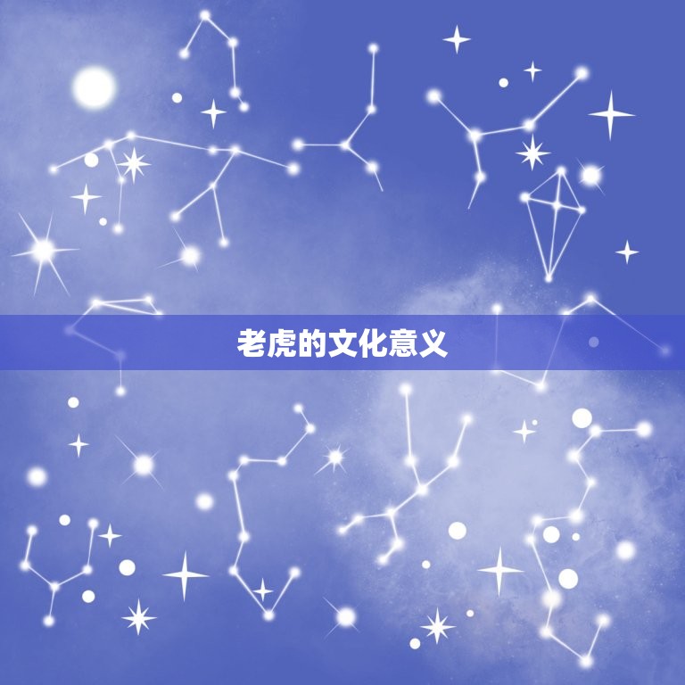 60年的虎今年多大了(已经是老虎的晚年岁月)  第2张