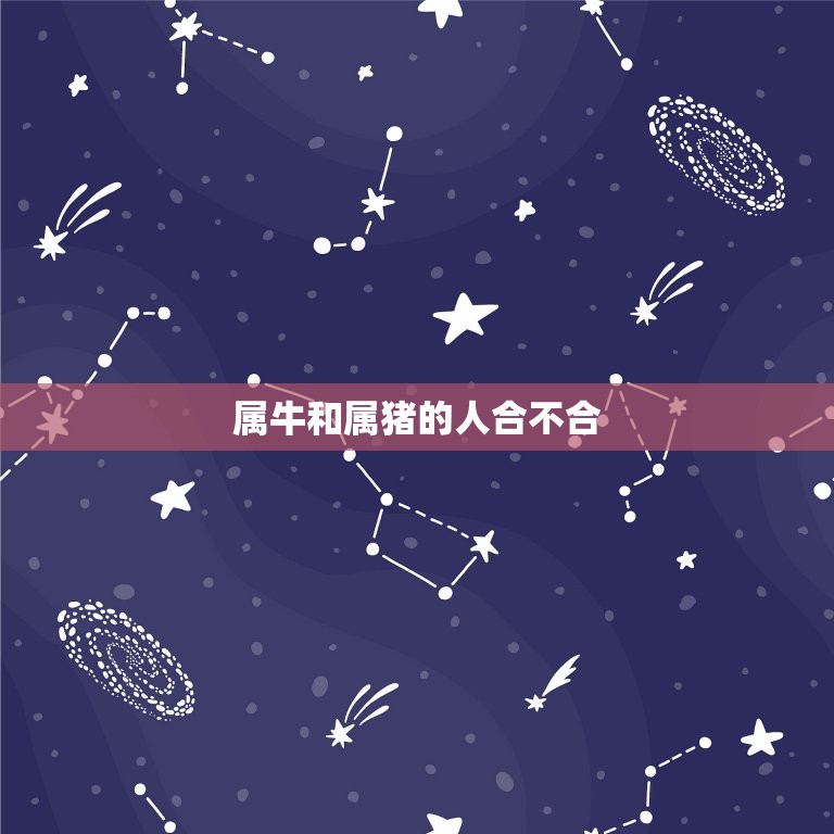 属牛和属猪的人合不合(星座配对大介绍)  第3张