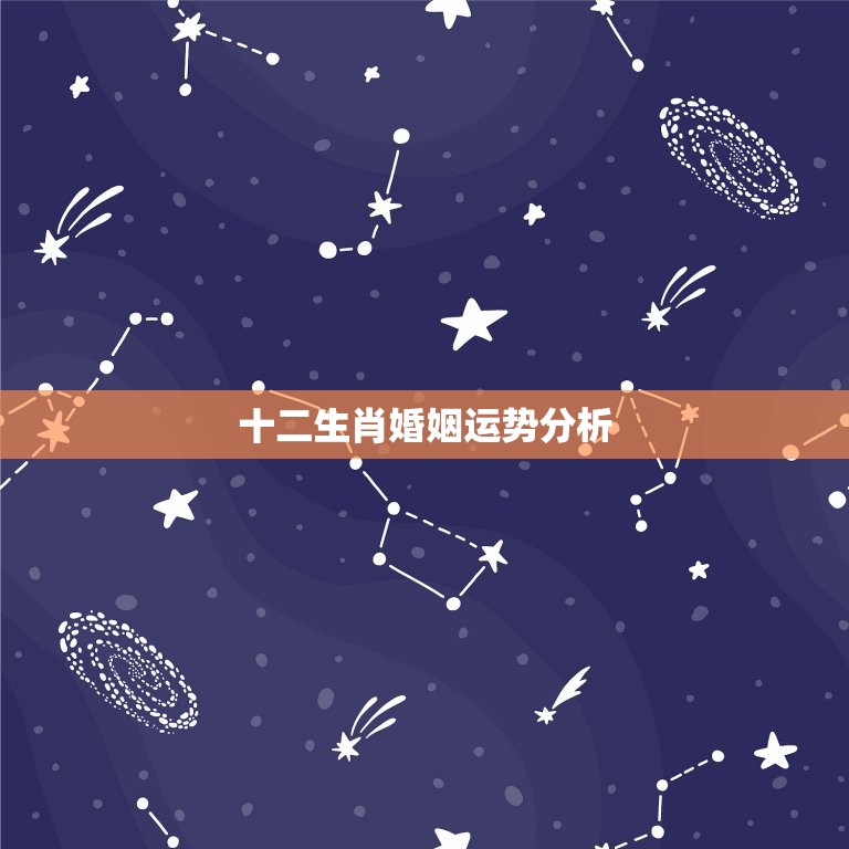 95猪2023年姻缘(猪年婚姻运势大介绍)  第2张