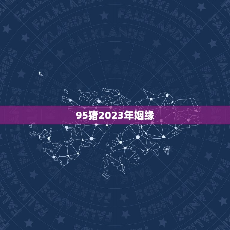 95猪2023年姻缘(猪年婚姻运势大介绍)  第3张