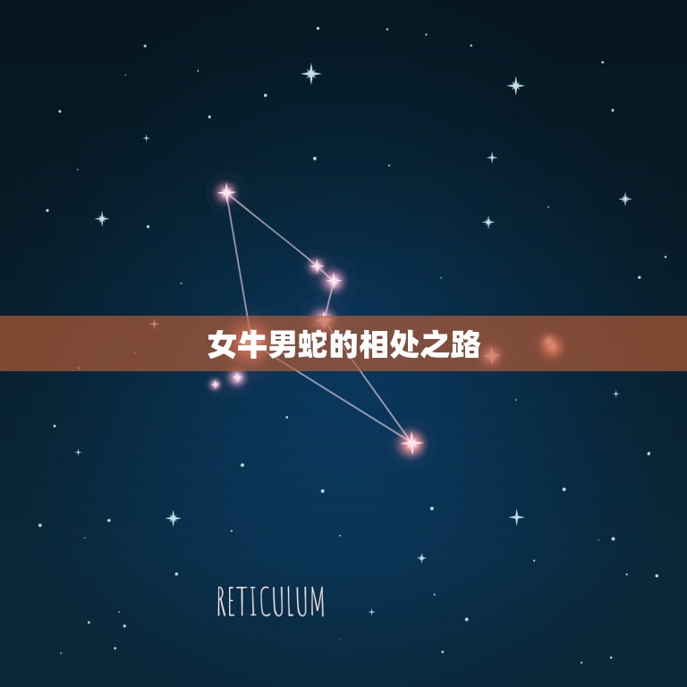 女牛男蛇的婚姻怎么样(幸福美满还是水火不容)  第2张