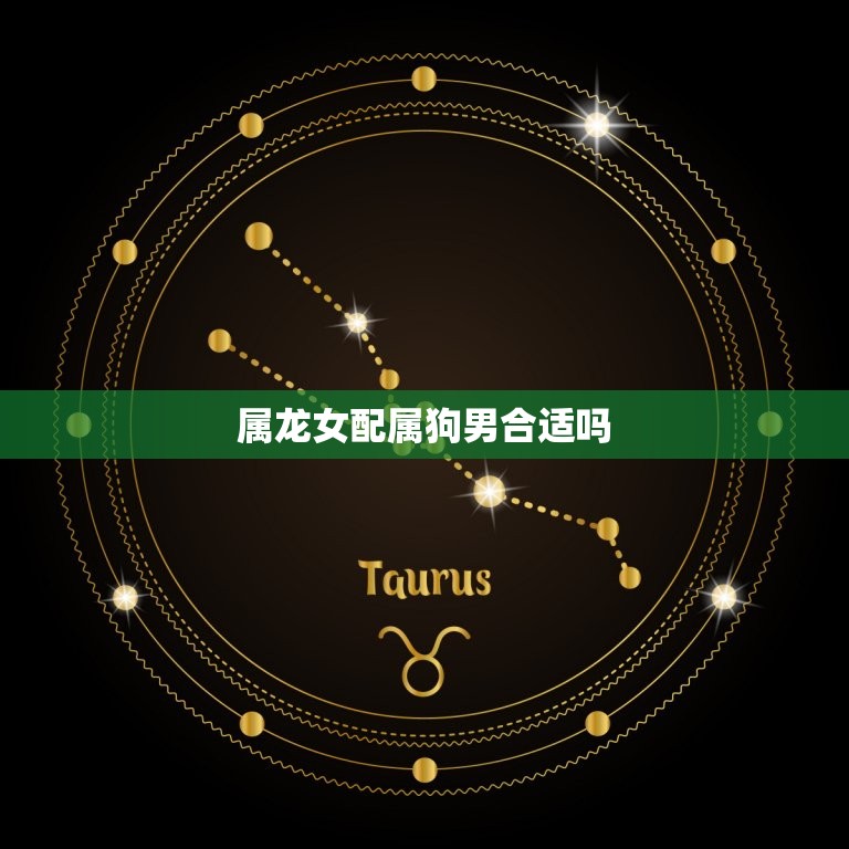 属龙女配属狗男合适吗(如何看待这对星座组合)  第3张