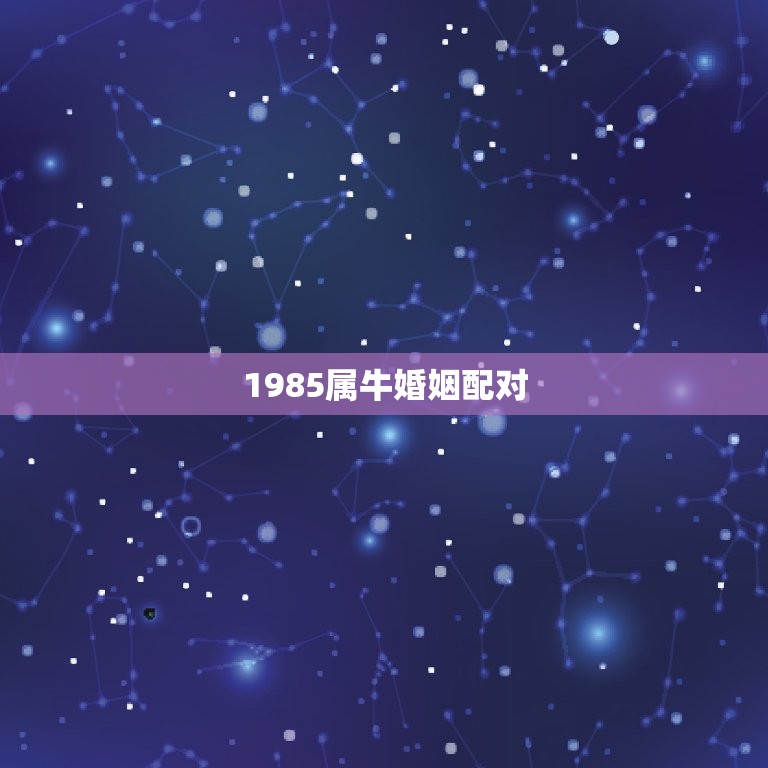 1985属牛婚姻配对(如何找到伴侣)  第3张
