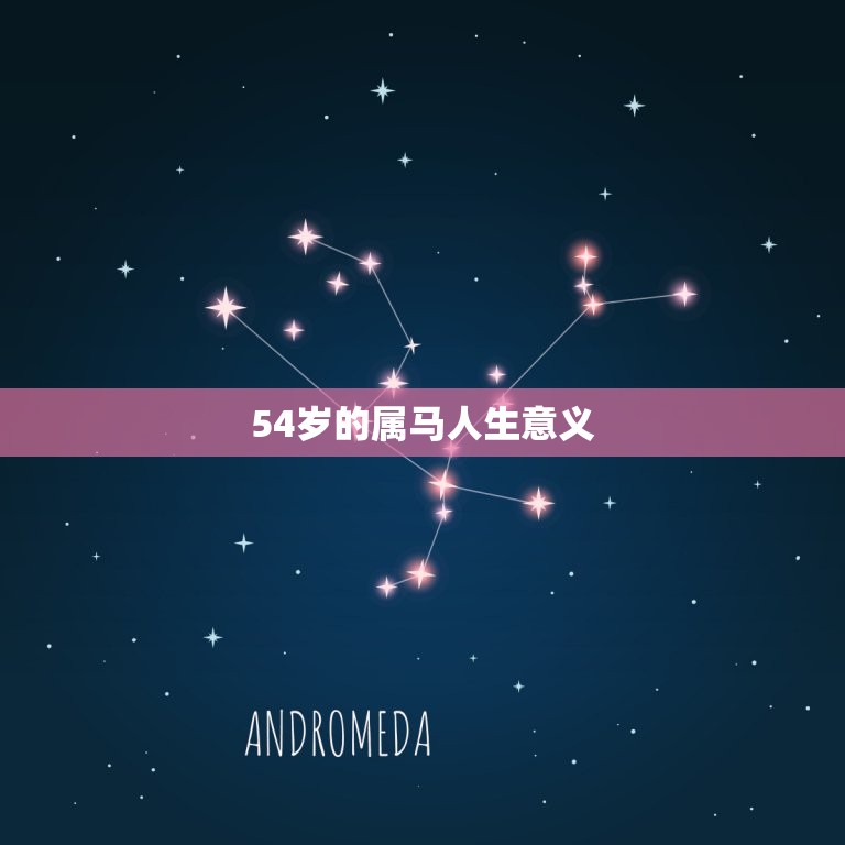 属马的54岁是几年的(马年人的人生盛宴)
