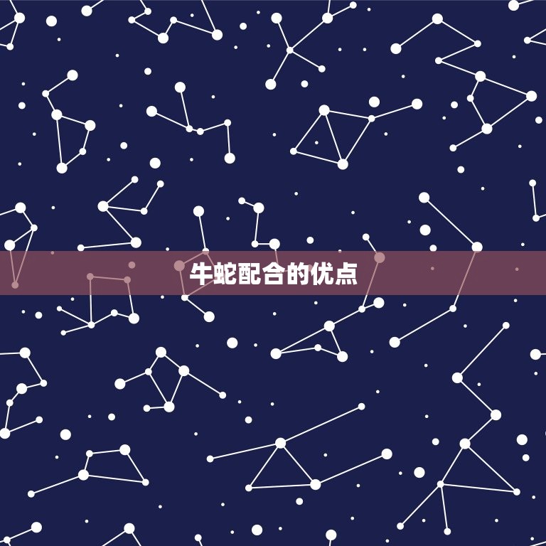 属牛跟属蛇的人相合吗(介绍牛蛇配合的优缺点)  第1张