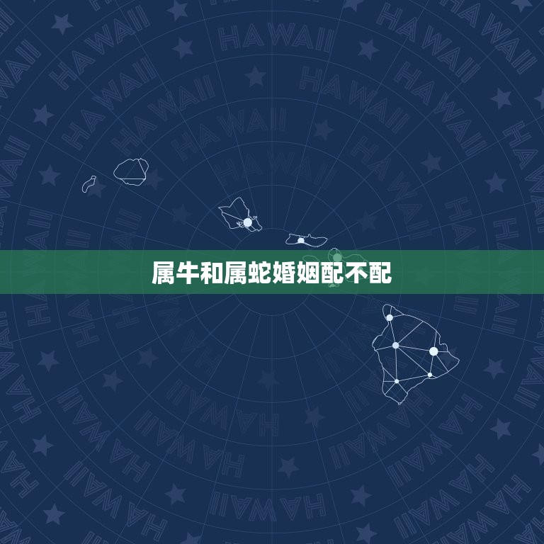 属牛和属蛇婚姻配不配(如何看待这对星座的姻缘)  第3张