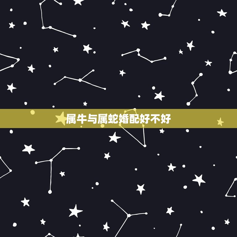属牛与属蛇婚配好不好(如何看待属牛与属蛇的婚姻配对)  第3张