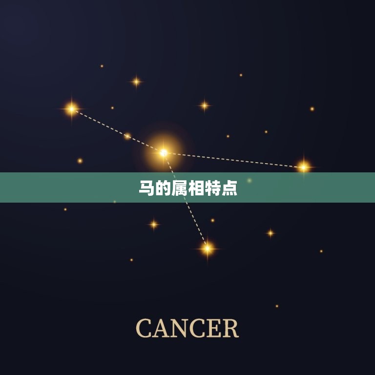马的属相配什么属相好(如何选择配偶)  第1张