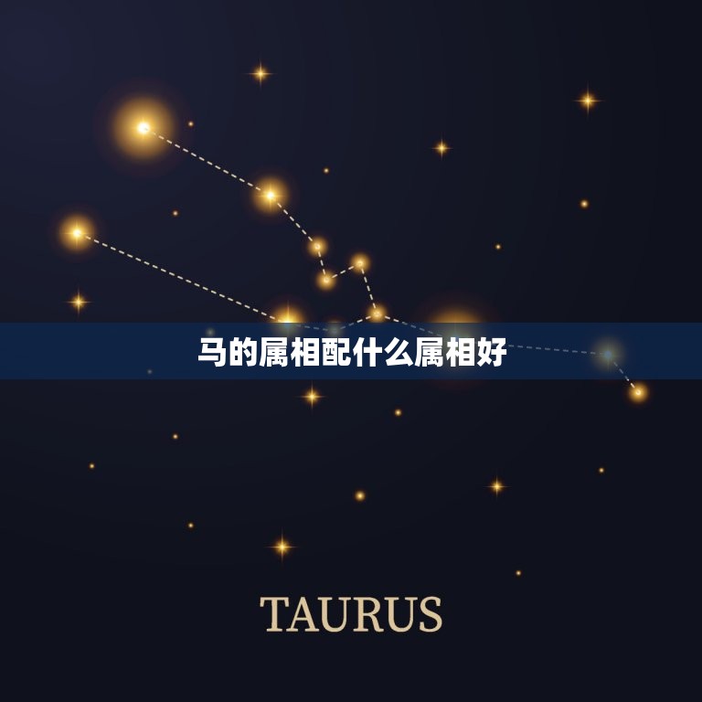 马的属相配什么属相好(如何选择配偶)  第3张