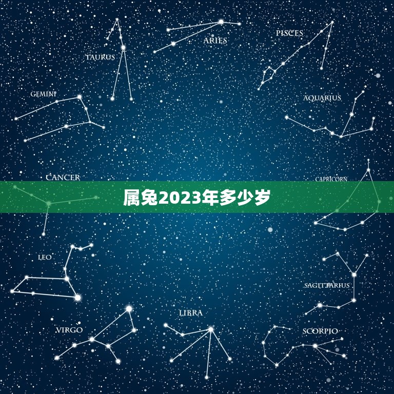 属兔2023年多少岁(你的兔年生肖运势如何)  第3张
