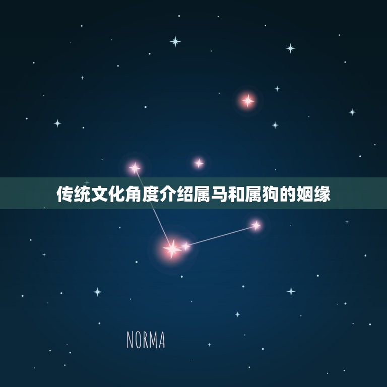 属马的跟属狗的相配吗(介绍属马和属狗的姻缘)  第2张