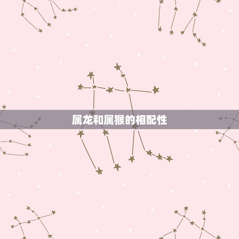 属龙的和属猴的相配吗(介绍龙猴组合的爱情运势如何)  第1张