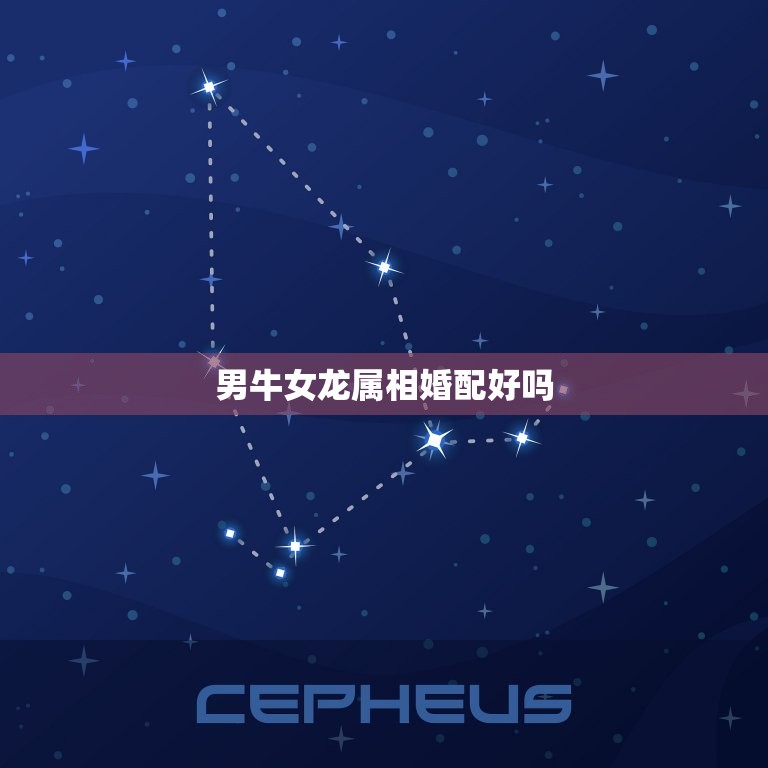 男牛女龙属相婚配好吗(介绍牛龙配天长地久)  第3张