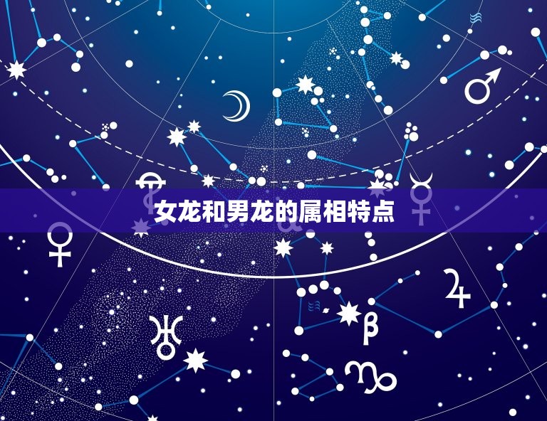 女龙和男龙属相合不合(如何判断)