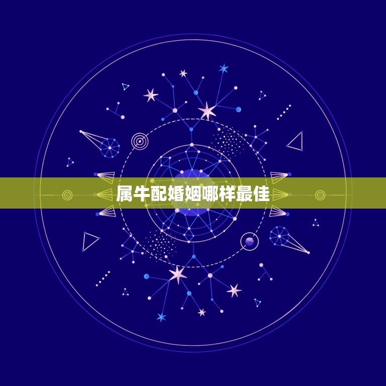 属牛配婚姻哪样(如何选择最适合的伴侣)  第3张