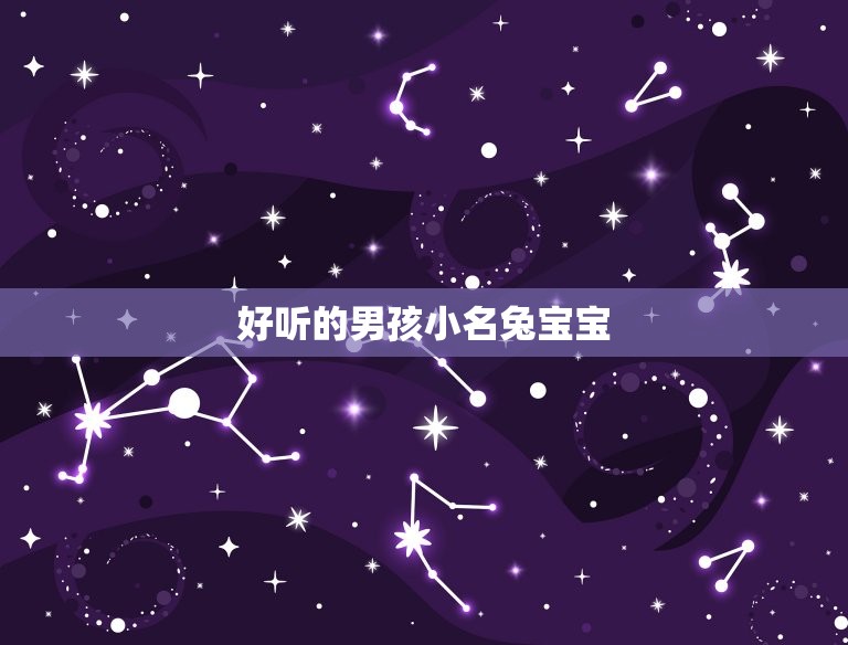 好听的男孩小名兔宝宝(萌宠般的小男孩名字)  第3张