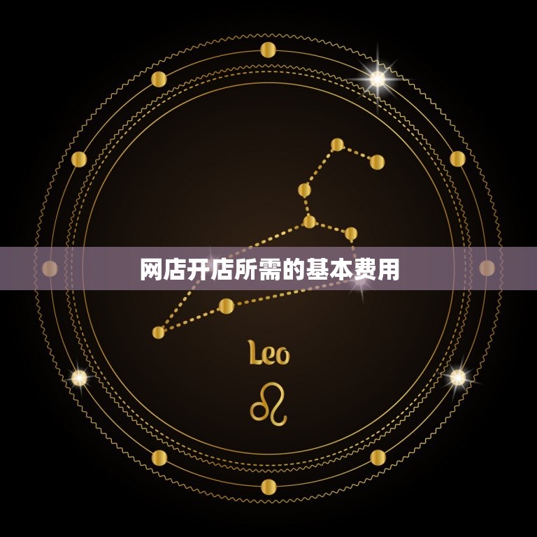 做网商要投入多少本钱(开网店需要多少资金)  第2张