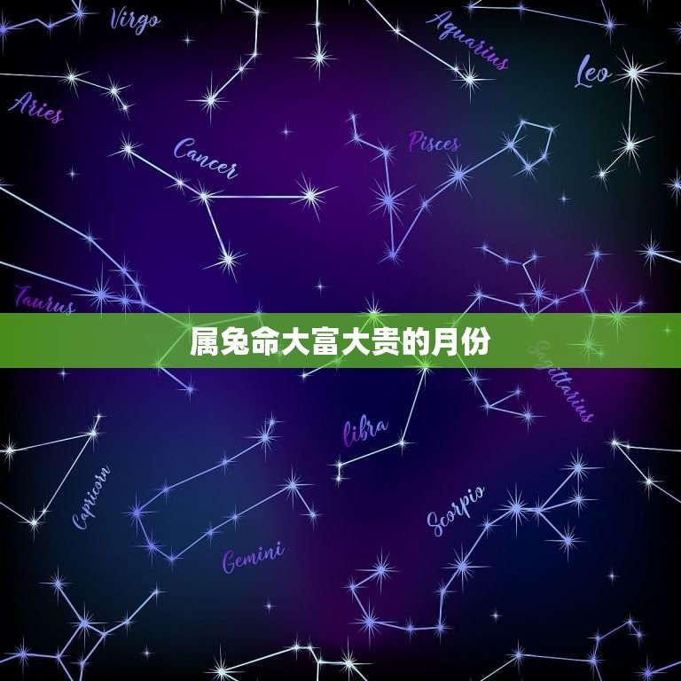 属兔命大富大贵的月份(介绍哪些月份最适合兔子们发财)  第3张