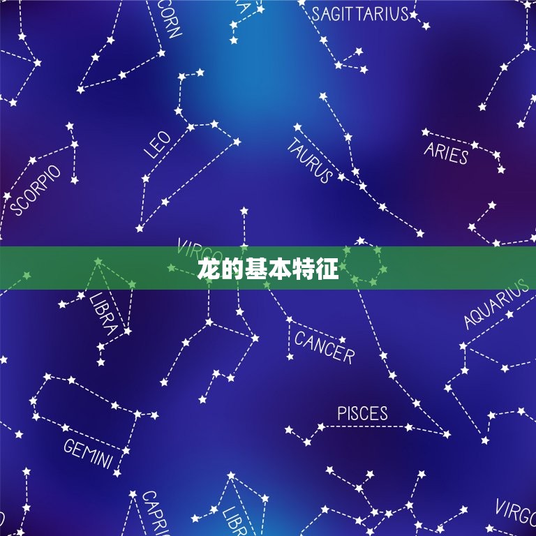 龙的生肖配对属相(搭档共创美好未来)