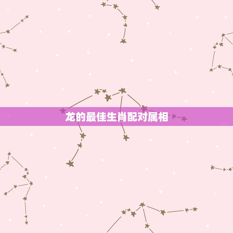龙的生肖配对属相(搭档共创美好未来)  第3张