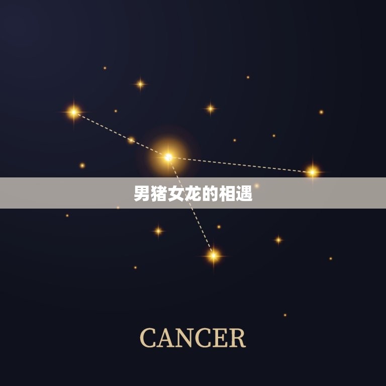 男猪女龙婚姻最终结局(幸福的结局让人感动不已)