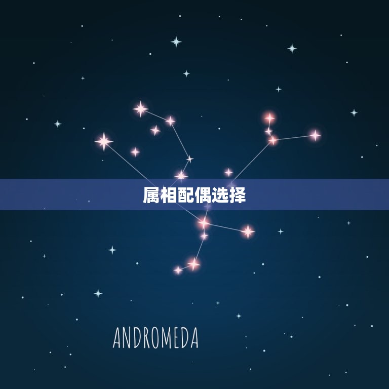 女属马的属相配偶(如何选择)  第2张
