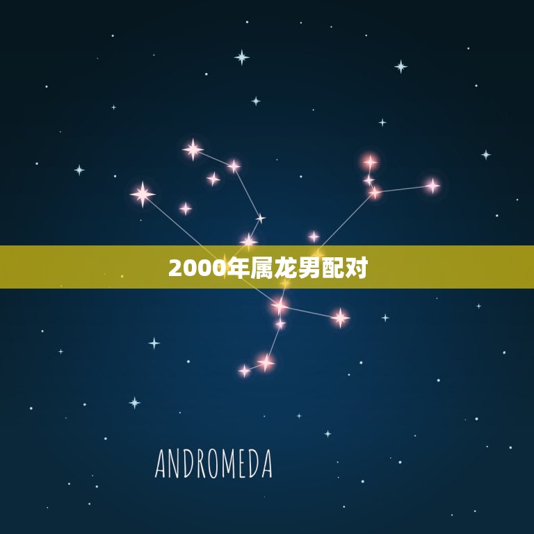 2000年属龙男配对(对象是谁)  第3张