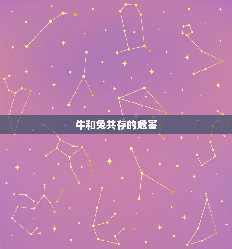 牛和兔在一起对谁不利(讨论两种动物共存的危害)  第2张