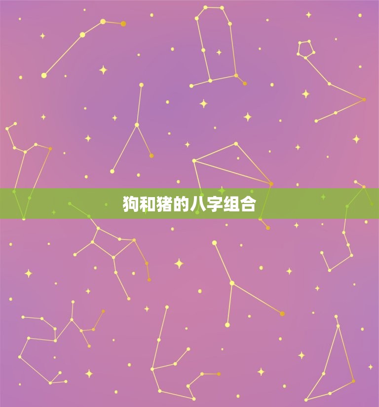 八字算命狗和猪相配吗(如何看待狗猪组合的姻缘)  第1张