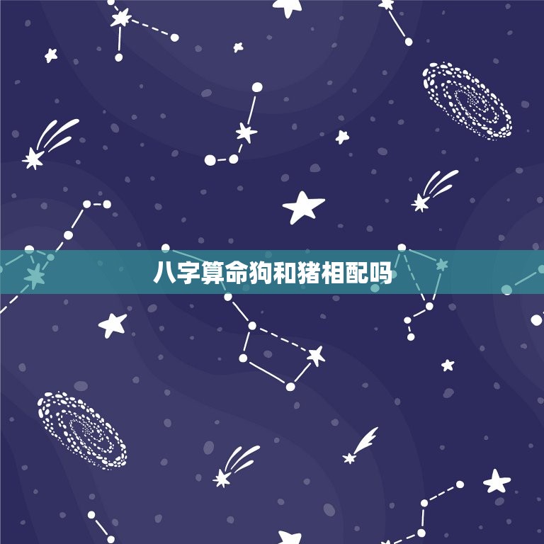 八字算命狗和猪相配吗(如何看待狗猪组合的姻缘)  第3张