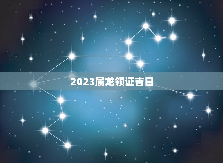 2023属龙领证吉日